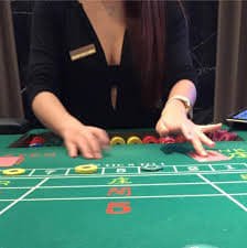 bagh casino